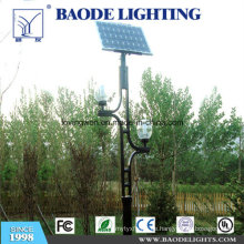 8m Pole 80W LED Solar Wind Turbine Straßenleuchte (BDTYN880-w)